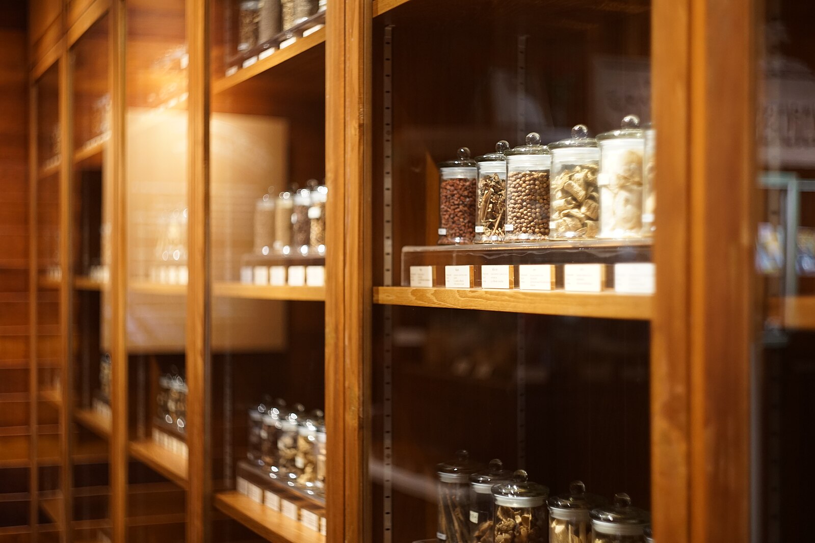 Practicing as a Clinical Herbalist in a Free Clinic (Audio)