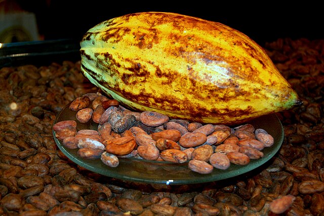 Plant Medicines, Universal Biodiversity and Plant Sustainability Around the World (Audio)