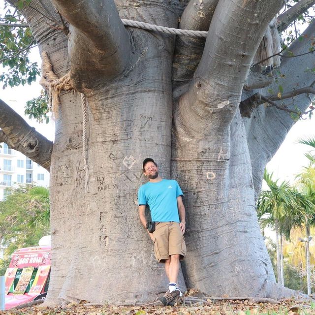 Woody Ethnobotany