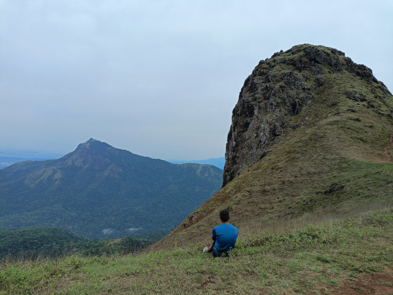 Biodiversity and conservation of Rare, Endangered and Threatened medicinal plants of Western Ghats of India