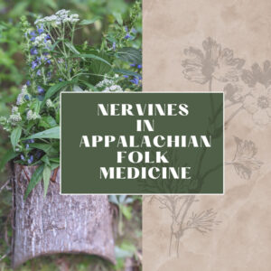 Nervines in Appalachian Folk MeDicine - Becky Beyer