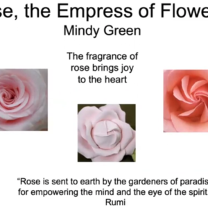 Rose, The Empress of Flowers