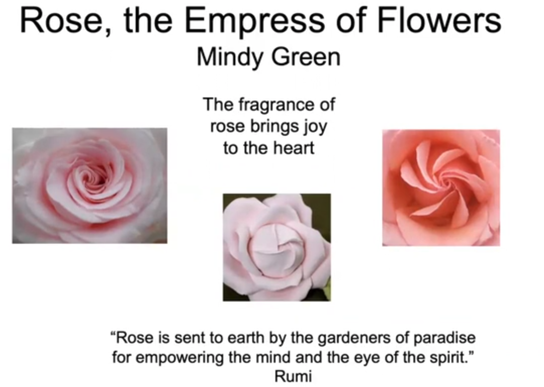 Rose, The Empress of Flowers