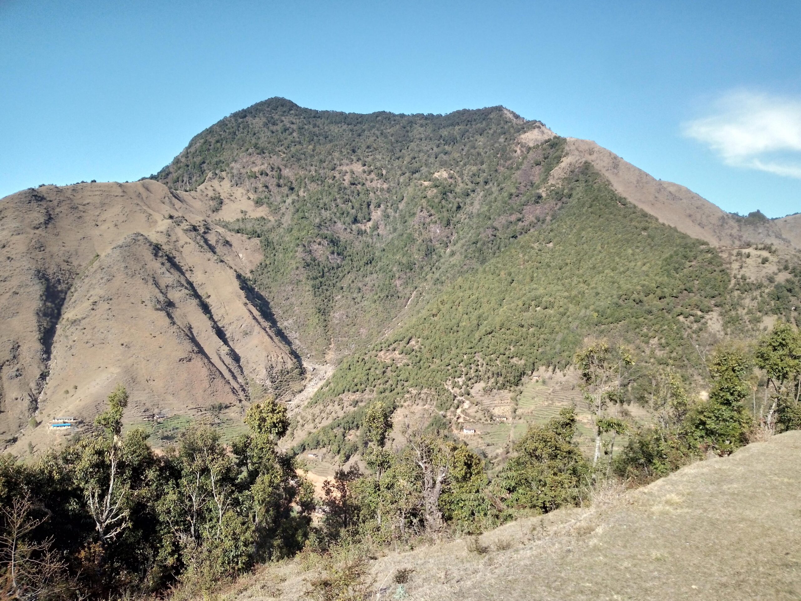 Herbs of the Land: Commercial Plant Harvesting in Sacred and Community Forests in Nepal