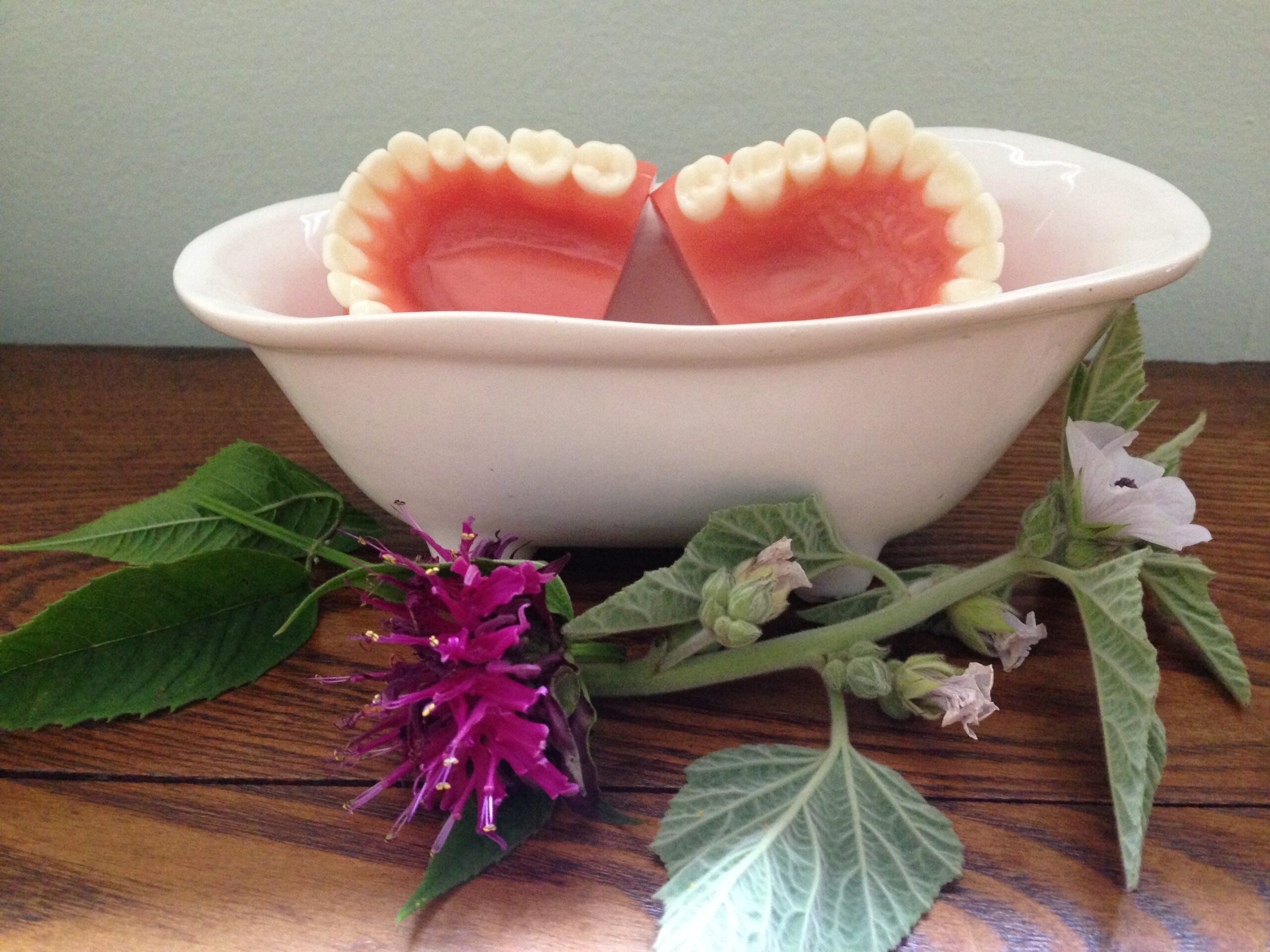 Oral Care: Why It Matters and How to Work With Clients – Leslie Alexander, PHD, Rh(Ahg)