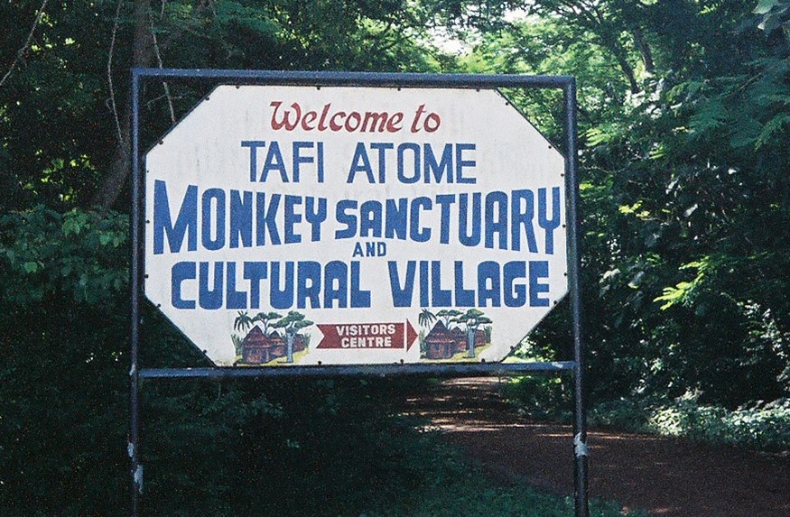 Medicinal Plant Conservation and Use at Tafi Atome Sacred Grove in Ghana