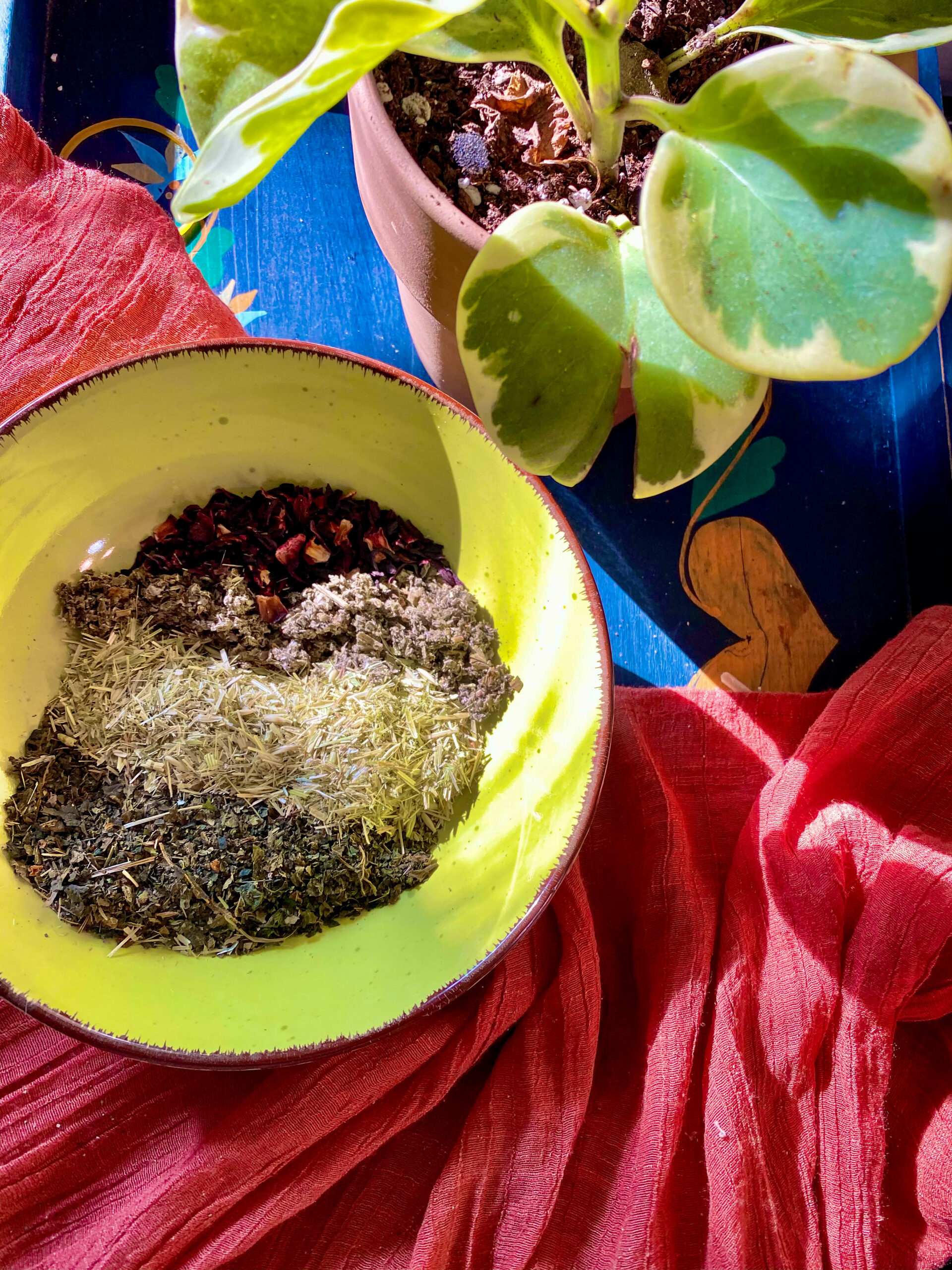 Herbal Allies for Surgery Recovery