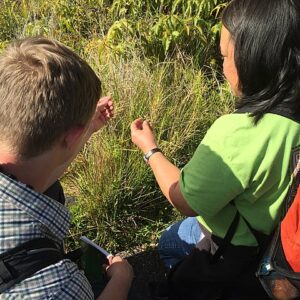 Botanical, Macroscopic, and Organoleptic Assessment of Herbal Ingredients for cGMP (Audio)