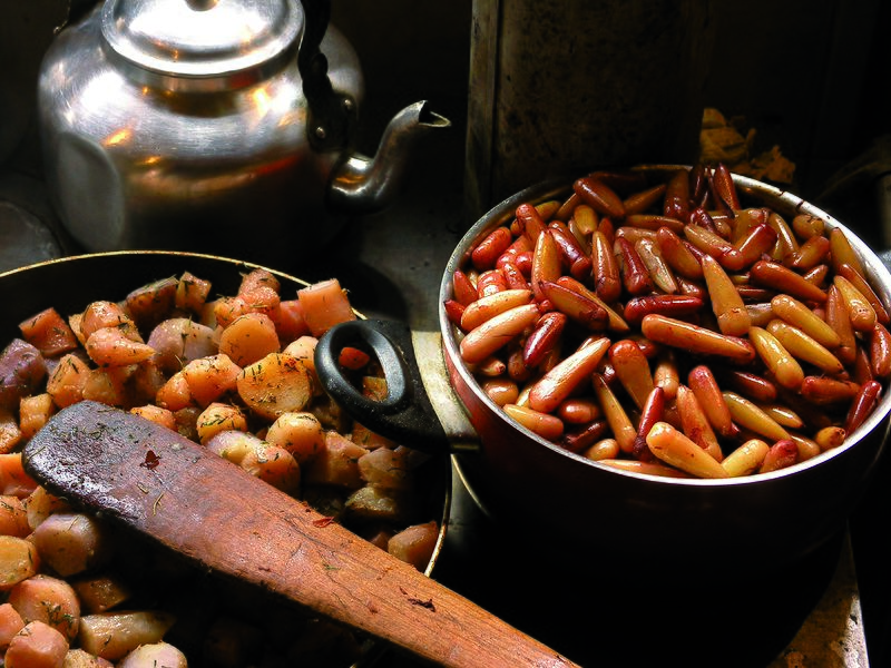 Traditional Medicine of Southern Chile (Audio)