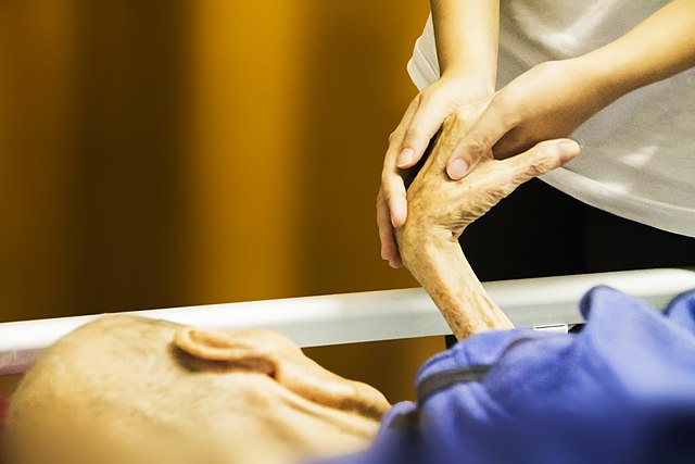 Sacred Passage; Providing Compassionate Care at the End of Life (Audio)