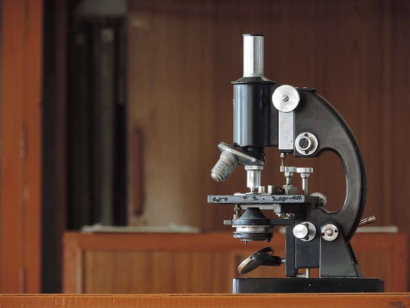Tonic Herbalism Through the Eyes of the Cell (Audio)